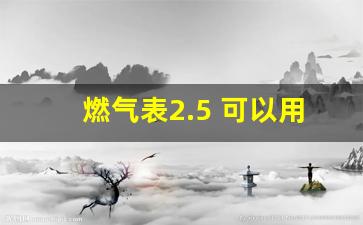 燃气表2.5 可以用16升吗,新燃气表怎么使用